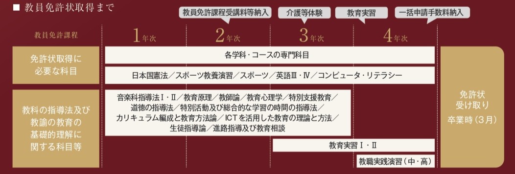 教員免許課程図.jpg
