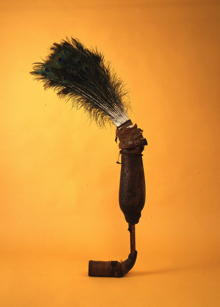 カハリアの画像